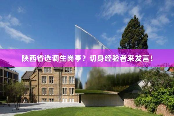 陕西省选调生岗亭？切身经验者来发言！