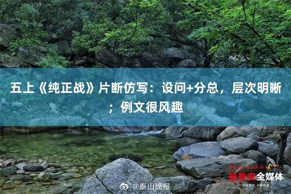 五上《纯正战》片断仿写：设问+分总，层次明晰；例文很风趣