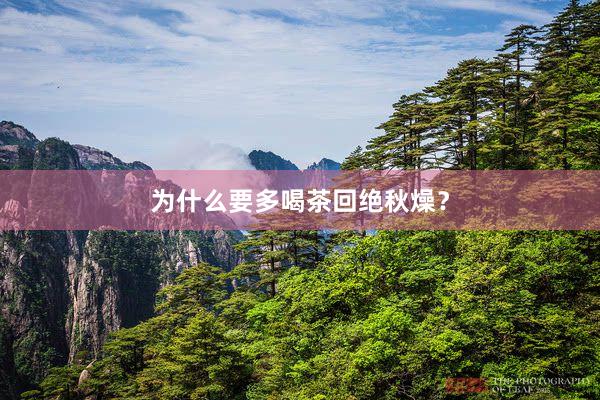 为什么要多喝茶回绝秋燥？