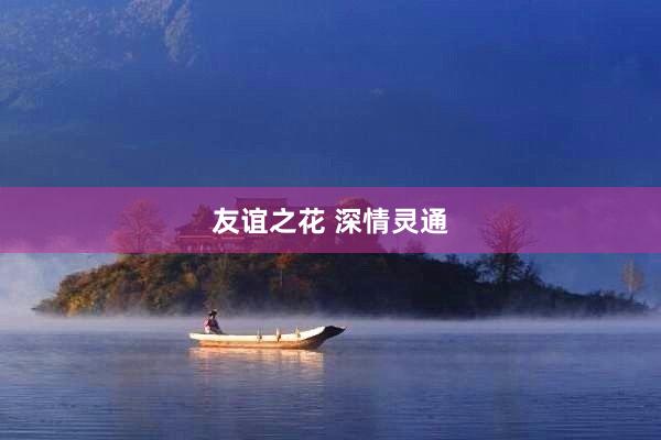 友谊之花 深情灵通