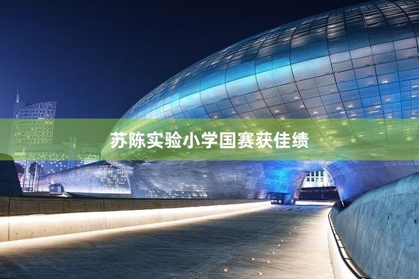 苏陈实验小学国赛获佳绩