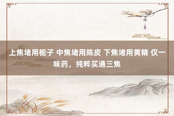 上焦堵用栀子 中焦堵用陈皮 下焦堵用黄精 仅一味药，纯粹买通三焦