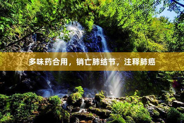多味药合用，销亡肺结节，注释肺癌