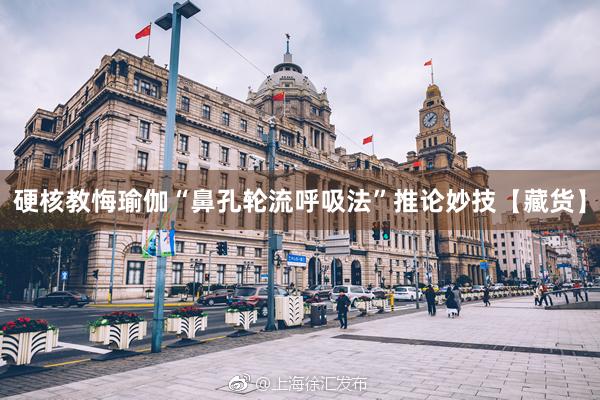 硬核教悔瑜伽“鼻孔轮流呼吸法”推论妙技【藏货】