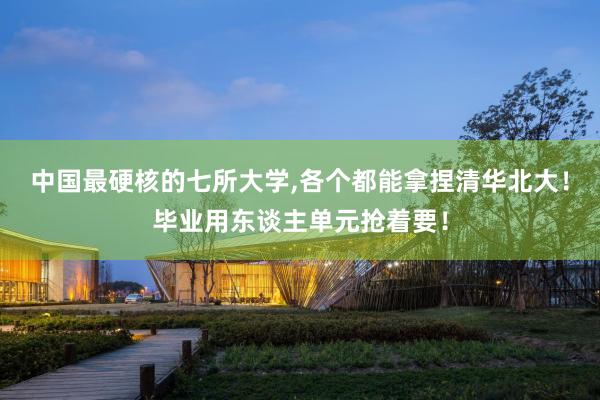 中国最硬核的七所大学,各个都能拿捏清华北大！毕业用东谈主单元抢着要！