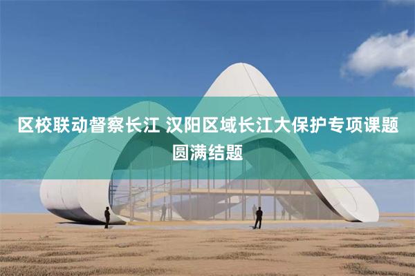 区校联动督察长江 汉阳区域长江大保护专项课题圆满结题
