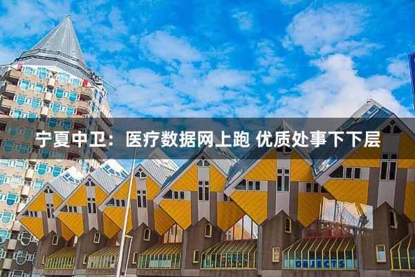 宁夏中卫：医疗数据网上跑 优质处事下下层