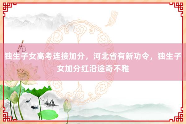 独生子女高考连接加分，河北省有新功令，独生子女加分红沿途奇不雅