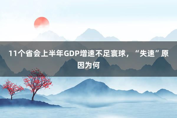 11个省会上半年GDP增速不足寰球，“失速”原因为何