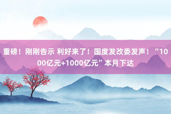 重磅！刚刚告示 利好来了！国度发改委发声！“1000亿元+1000亿元”本月下达
