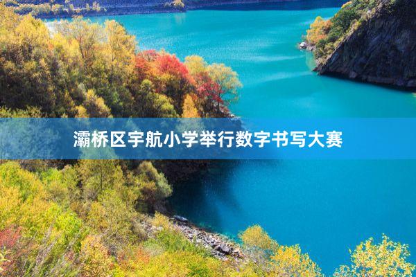 灞桥区宇航小学举行数字书写大赛
