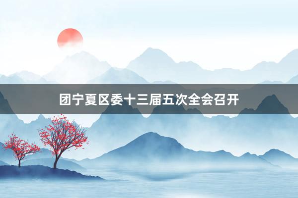 团宁夏区委十三届五次全会召开