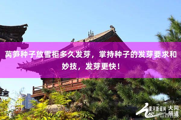 莴笋种子放雪柜多久发芽，掌持种子的发芽要求和妙技，发芽更快！