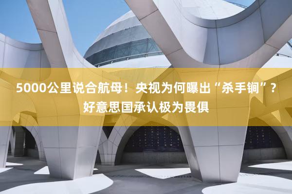 5000公里说合航母！央视为何曝出“杀手锏”？好意思国承认极为畏俱