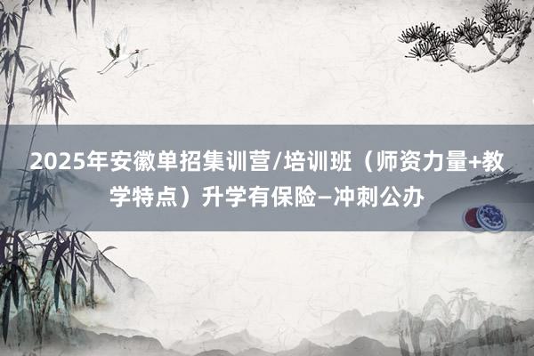 2025年安徽单招集训营/培训班（师资力量+教学特点）升学有保险—冲刺公办
