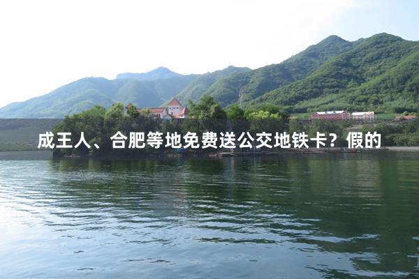 成王人、合肥等地免费送公交地铁卡？假的