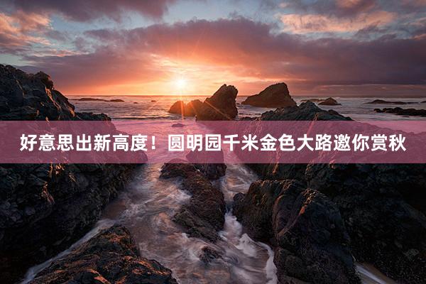 好意思出新高度！圆明园千米金色大路邀你赏秋