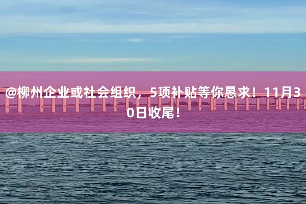@柳州企业或社会组织，5项补贴等你恳求！11月30日收尾！