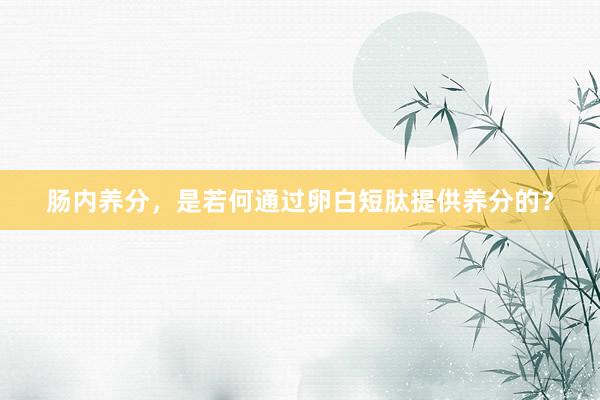 肠内养分，是若何通过卵白短肽提供养分的？