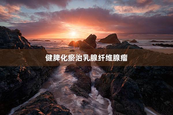 健脾化瘀治乳腺纤维腺瘤