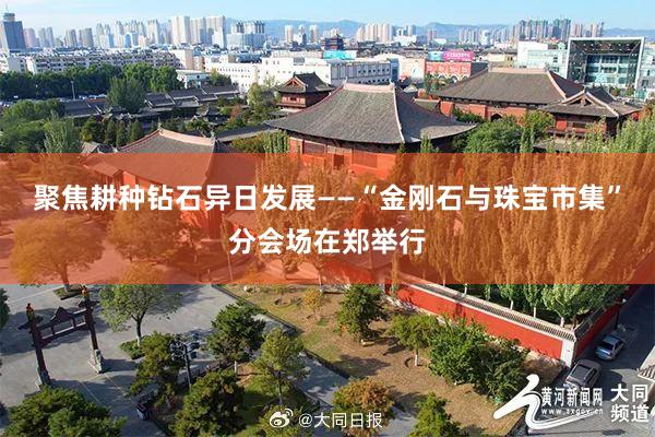 聚焦耕种钻石异日发展——“金刚石与珠宝市集”分会场在郑举行