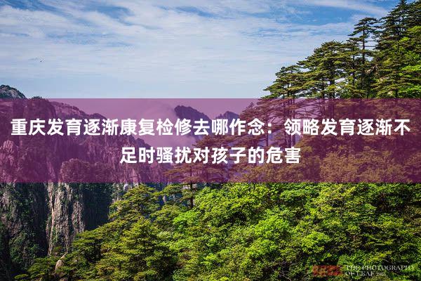 重庆发育逐渐康复检修去哪作念：领略发育逐渐不足时骚扰对孩子的危害