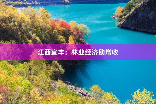 江西宜丰：林业经济助增收