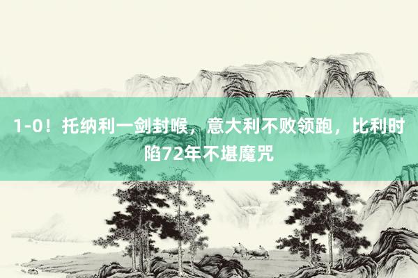 1-0！托纳利一剑封喉，意大利不败领跑，比利时陷72年不堪魔咒