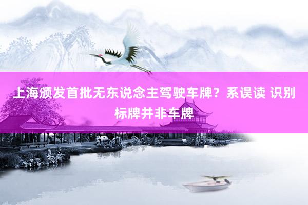 上海颁发首批无东说念主驾驶车牌？系误读 识别标牌并非车牌