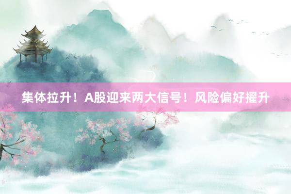 集体拉升！A股迎来两大信号！风险偏好擢升