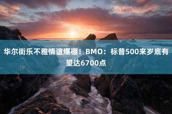 华尔街乐不雅情谊爆棚！BMO：标普500来岁底有望达6700点