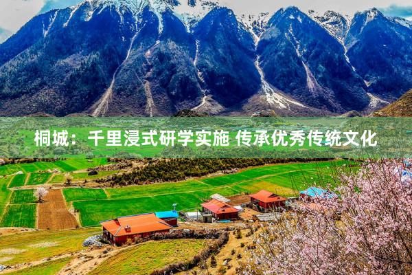 桐城：千里浸式研学实施 传承优秀传统文化