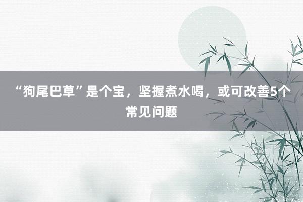 “狗尾巴草”是个宝，坚握煮水喝，或可改善5个常见问题
