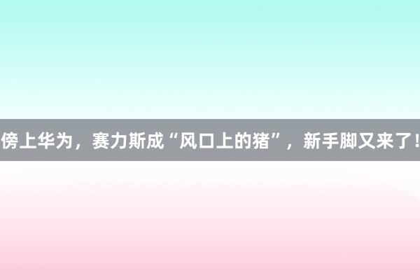 傍上华为，赛力斯成“风口上的猪”，新手脚又来了！