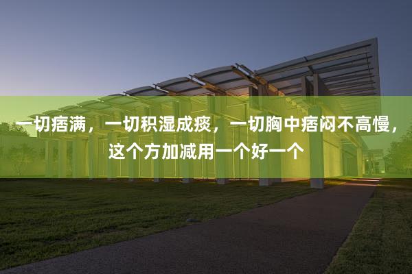 一切痞满，一切积湿成痰，一切胸中痞闷不高慢，这个方加减用一个好一个