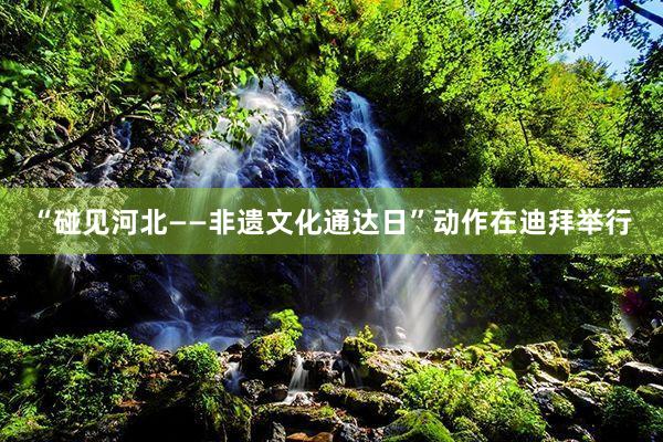 “碰见河北——非遗文化通达日”动作在迪拜举行