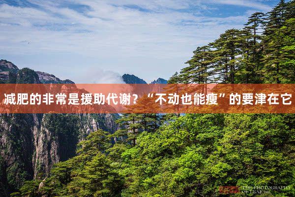 减肥的非常是援助代谢？“不动也能瘦”的要津在它