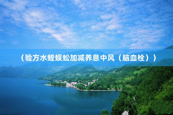 （验方水蛭蜈蚣加减养息中风（脑血栓））