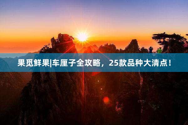 果觅鲜果|车厘子全攻略，25款品种大清点！